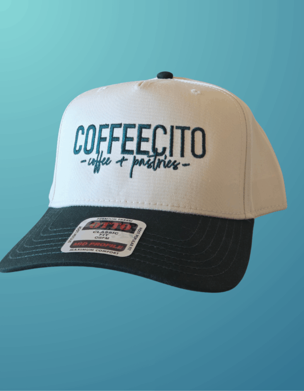 Snapback Hat