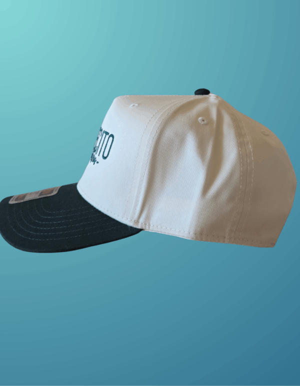 Snapback Hat - Image 3